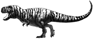 Tyrannosaurus Weibchen