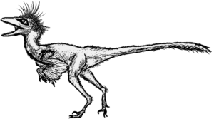 Pectinodon Männchen