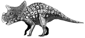 Triceratops Jungtier
