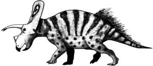 Triceratops Männchen