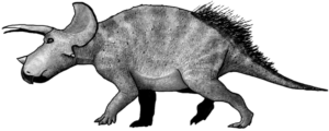 Triceratops-Weibchen