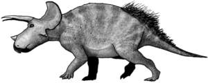 Triceratops Weibchen