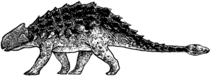 Ankylosaurus unisex