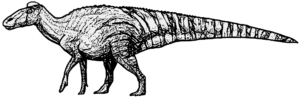 Edmontosaurus Weibchen