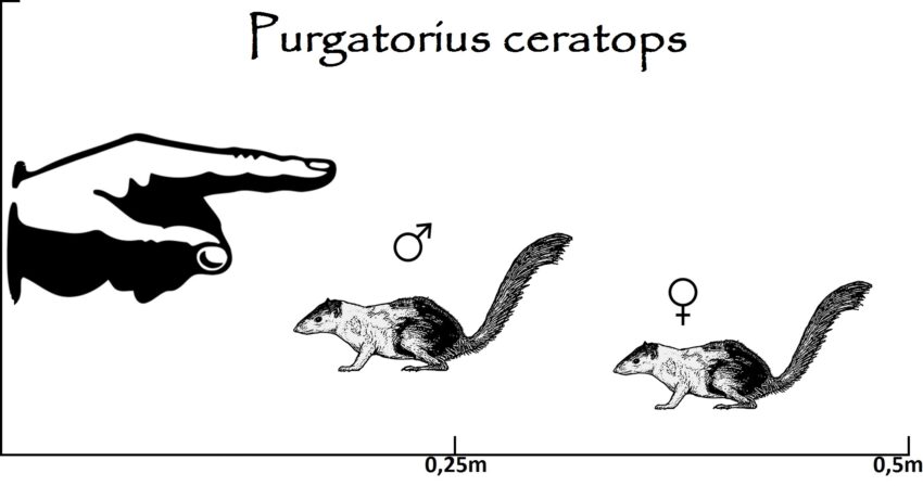 Purgatorius Größenvergleich