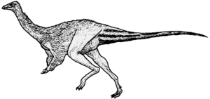 Ornithomimus Weibchen