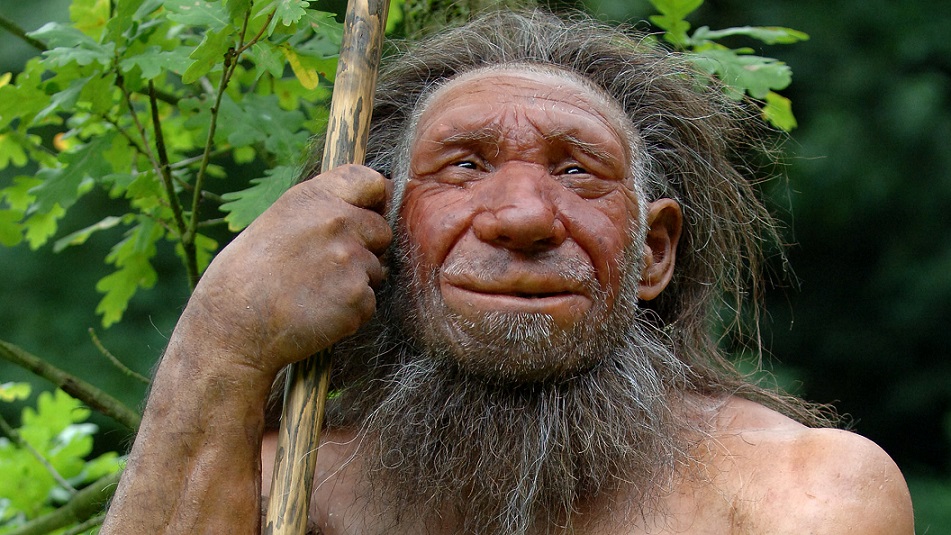 Neandertaler