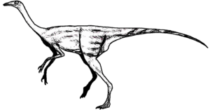 Struthimimus (Weibchen)