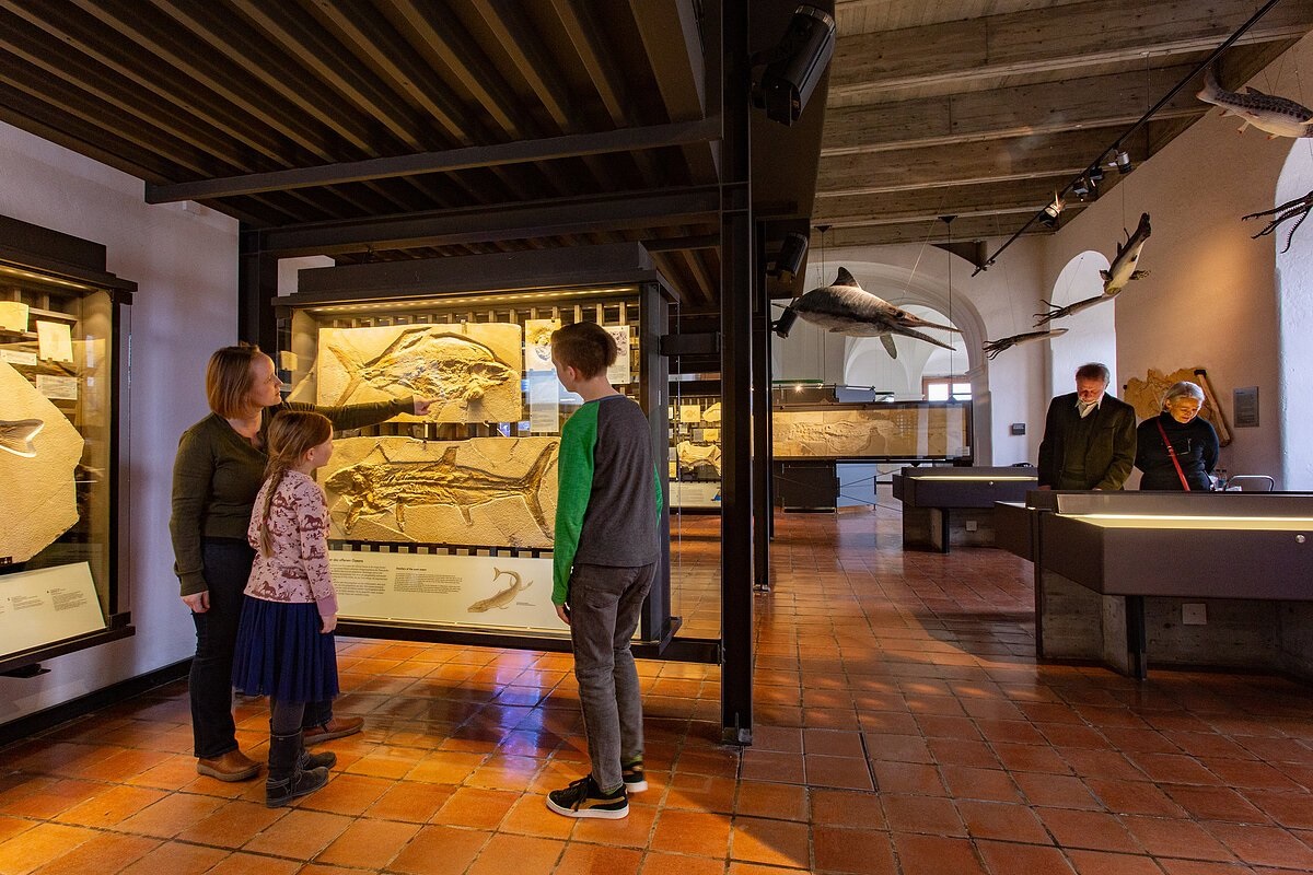 Jura-Museum Eichstätt 1