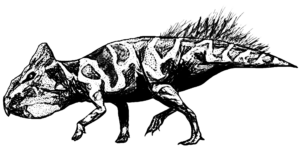 Leptoceratops Männchen