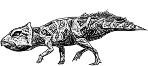 Leptoceratops Weibchen