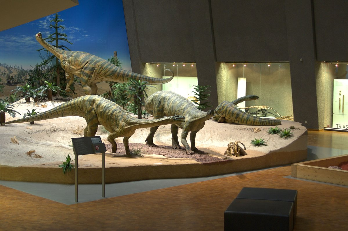 Museum für Naturkunde Stuttgart Dinos