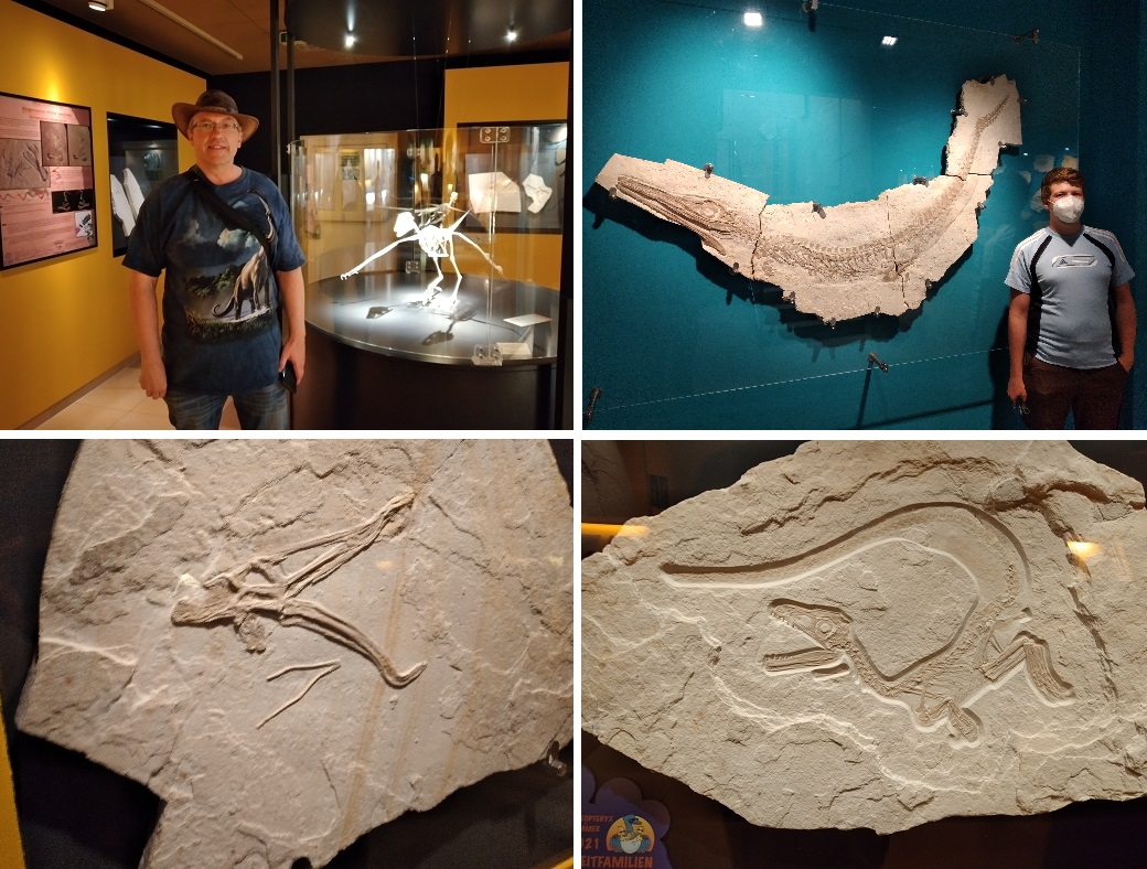 Dino-Treffen Altmühltal 7