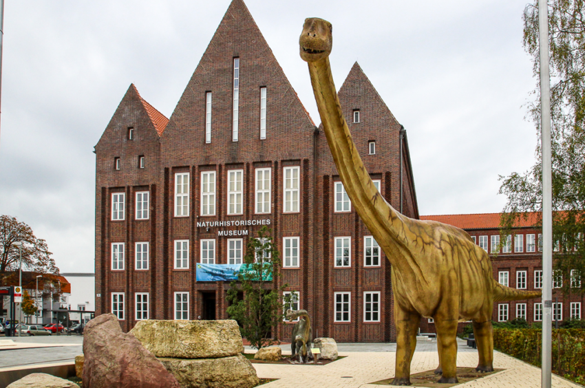 Naturhistorisches Museum Braunschweig