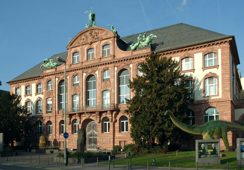 Senckenberg Naturmuseum Frankfurt a.M.