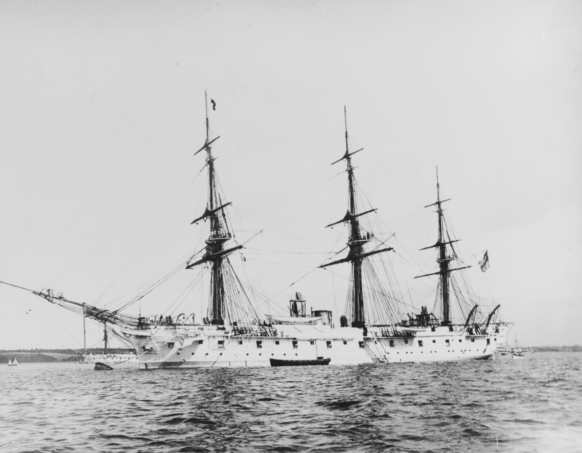 Elasmosaurier 2020 Moltke