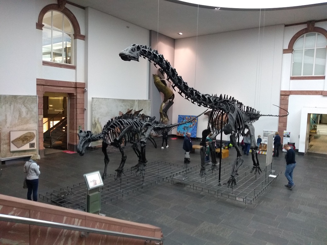 Senckenberg Frankfurt Dinosaurier-Saal