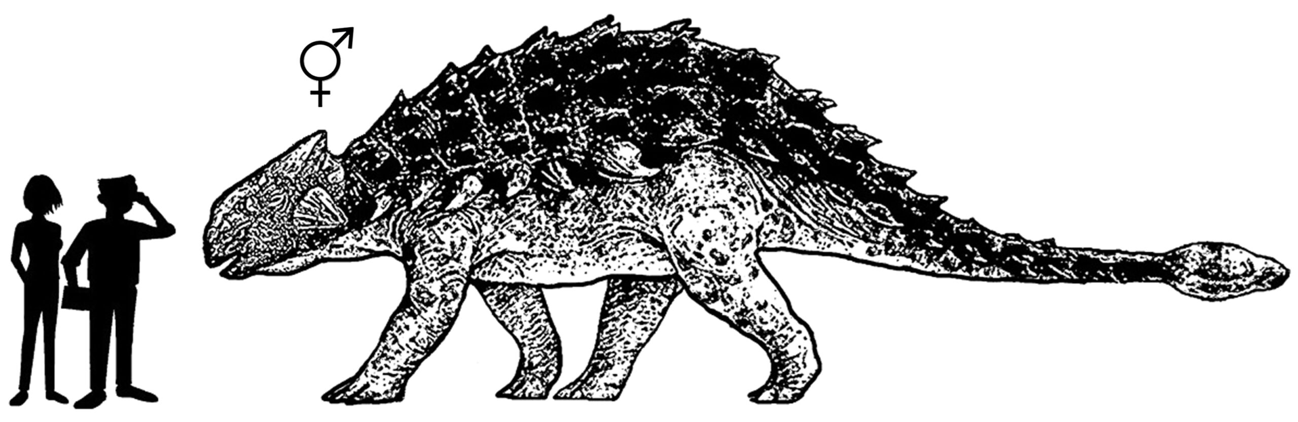 tierprofil-ankylosaurus-magniventris-die-wei-en-steine