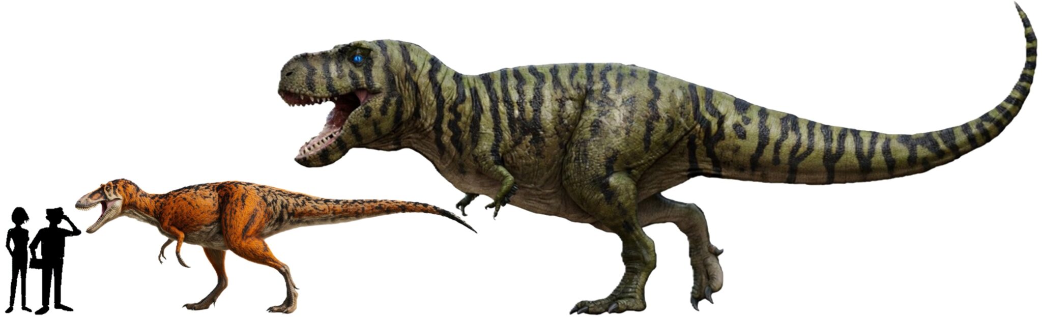 Tierprofil: Tyrannosaurus rex - Die Weißen Steine